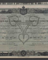 Dix Actions au Porteur de Cinq Mille Lei. Cinquieme Emission. No 054091 - 054100