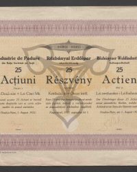 25 Actien über je Lei zweihundert = Lei fünftausend. 016051 - 016075