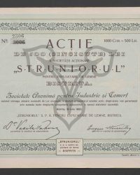 Aktie über 500 Lei. Nr. 2306