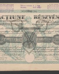 Aktie. Dreihundert Lei. No. 7701