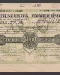Gemeinsame Aktie. Dreitausend Lei. Von No. 6101 bis No. 6110