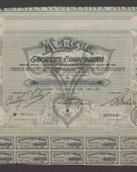 Gesellschaftskapital 1.200.000 Lei, vollständig eingezahlt, aufgeteilt in 48.000 Aktien. Nennwert der Aktie: Fünfundzwanzig Lei. Emissionswert: 125 Lei. Nr. 040782, 6. Serie